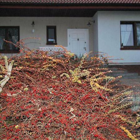 Pokoje Nad Mlynem Strykow Bagian luar foto