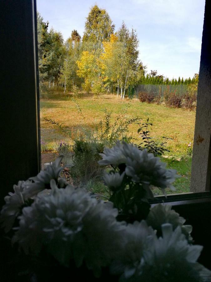 Pokoje Nad Mlynem Strykow Bagian luar foto