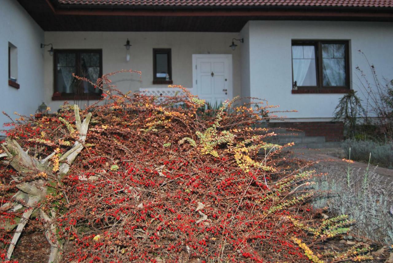Pokoje Nad Mlynem Strykow Bagian luar foto